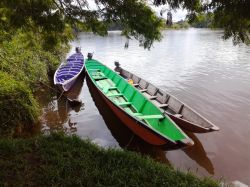 Tradizionali barche in legno sul fiume Suriname, distretto di Sipaliwini, Sud America.
