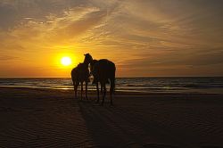 Tramonto a Vichayito, Piura, Perù. Un panorama mozzafiato sulla spiaggia peruviana con il calar del sole che incornicia due cavalli.
