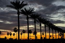 Tramonto sulla Gene Autry Way ad Anaheim in California - © John Roman Images / Shutterstock.com