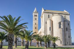 Trani, Puglia: la costruzione della cattedrale di San Nicola Pellegrino venne iniziata nel 1099 sulla base di quella più vecchia di Santa Maria della Scala.
