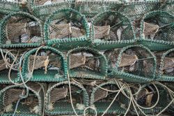 Trappole di aragoste a Portmagee in Irlanda: i Crostacei sono una specialità della zona
