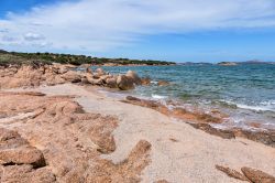 Tratto di costa vicino a Tanca Manna, Cannigione, Sardegna. Le acque limpide del golfo di Arzachena lambiscono questo angolo di Sardegna: da notare il colore della sabbia che si presenta con ...