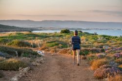 Trekking in direzione di Calamosche, Riserva Natuale di Vendicari, Noto