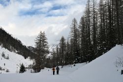 Trekking in Svizzera con le ciaspole da villaggio Blatten nel Vallese