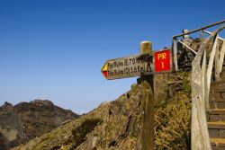 Il trekking a Pico Ruvio, Isola di Madeira (Portogallo) - Sono moltissimi i turisti che negli ultimi anni cercano una destinazione non solo in base alla bellezza di un posto ma anche basandosi ...