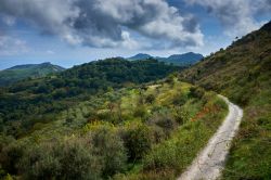 Trekking sui Monti Peloritani nella zona di Antillo in Sicilia, provincia di Messina