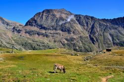 Trekking in Val Senales, Trentino Alto Adige. I sentieri su cui ci si può incamminare per andare alla scoperta di questo suggestivo angolo del territorio trentino sono davvero molti ad ...