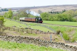 Treno a vapore nelle campagne della regione di Yorshire and the Humber, Inghilterra. Si tratta di un treno della North Yorkshire Moors Railway (NYMR).
