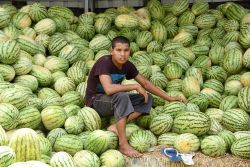 Trivandrum, capitale del Kerala, India: un ragazzo seduto fra i meloni in un mercato di frutta e verdura - © AjayTvm / Shutterstock.com