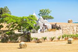 Trulli nel campagne assolate di Martina Franca in Puglia, Murge tarantine