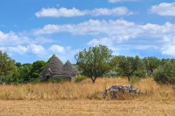 Trulli nella Valle d'Itria nei dintorni di Noci in Puglia