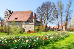 Tulipani colorati con un vecchio castello a Donauworth, città bavarese fondata nel 500 con il nome di Ried.



