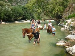 Turisti a cavallo lungo il fiume Acheronte nei pressi di Gliki, Preveza, Grecia. L'Acheronte era noto in antichità come il fiume della sventura; associato al mondo degli inferi, si ...