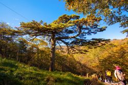 Turisti a passeggio sui monti Huangshan in autunno, Cina - © Meiqianbao / Shutterstock.com