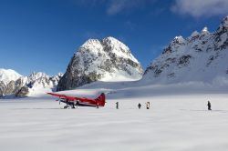 Turisti camminano nella neve profonda dopo l'atterraggio sul ghiacciaio Pika vicino al monte McKinley, Alaska - © Claude Huot / Shutterstock.com