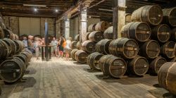 Turisti in visita alle cantine della distilleria Otard di Cognac, Francia - © Evgeny Shmulev / Shutterstock.com