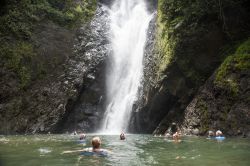 Turisti nuotano in una piscina naturale con una cascata nei pressi di Suva, isola di Viti Levu, Figi - © EA Given / Shutterstock.com