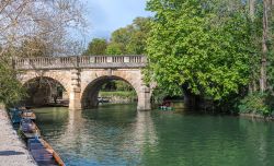 Turisti su una piccola barca nel fiume Cherwell a Oxford, Inghilterra (UK), vicino ai Giardini Botanici e Magdalen Bridge.

