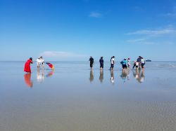 Turisti sulla spiaggia di Kuala Selangor, Malesia, visibile solo quando il livello dell'acqua del mare è basso durante la fase di luna piena e nei 4 giorni precedenti e successivi ...