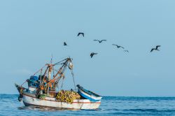 Uccelli in volo e una barca da pesca lungo la costa peruviana nei pressi di Piura, Perù.

