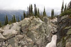 Ultimo tratto di un ghiacciaio fra le rocce del Mount Revelstoke, Canada.
