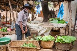 Un africano vende prodotti freschi in un mercato di Lilongwe, Malawi - © Andrea Willmore / Shutterstock.com