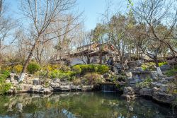 Un angolo del Baotu Springs a Jinan, Cina. Particolarmente suggestivo nel tardo pomeriggio quando i cinesi vi cercano relax, questo parco è caratterizzato da templi e padiglioni che si ...