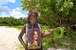 Un artigiano vende i suoi prodotti a Castries, la capitale di Saint Lucia - © Styve Reineck / Shutterstock.com