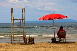 Un bagnino al lavoro sulla spiaggia di Scarlino in Toscana - © Paolo Trovo / Shutterstock.com