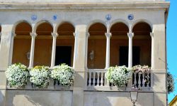 Un bel balcone fiorito nel centro di Albissola Marina, Savona, Liguria.


