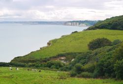 Un bel paesaggio a Varengeville-sur-Mer, Alta Normandia, Francia. Siamo in uno dei luoghi più affascinanti e seducenti della Costa d'Alabastro.
