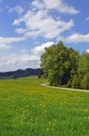 Un bel paesaggio naturale nei pressi di Isny im Allgau, Germania. Siamo nel land del Baden-Wurttemberg nella regione dell'Algovia. Qui la natura tedesca si fa sentire in tutta la sua imponenza.
 ...