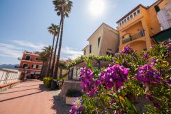 Un bel panorama del centro di Laigueglia (Savona), Liguria. Questa località balneare incanta i visitatori anche per il dedalo di carruggi tortuosi e di case dai colori pastello.



 ...