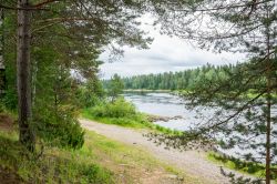 Un bel panorama estivo fra Kemi e Rovaniemi, Lapponia, Finlandia. Foreste e laghi sono gli elementi naturali che caratterizzano queste terre al nord del paese.
