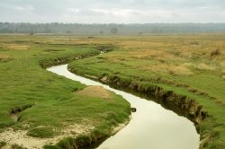 Un canale nella campagna circostante la cittadina francese di Granville, nel dipartimento della Manica, regione Bassa Normandia - foto © 40306999 / Shutterstock.com