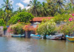 Un canale nella città di Negombo, località di 145.000 abitanti sulla costa dello Sri Lanka.
