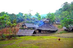 Un caratteristico villaggio dell'isola Espiritu Santo, arcipelago Vanuatu. Quest'isola, la più grande dell'arcipelago delle Vanuatu, è una popolare meta turistica grazie ...