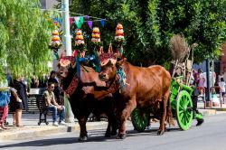 Un carro tradizionale al Matrimonio Selargino, la festa di settembre a Selargius in Sardegna - © GIANFRI58 / Shutterstock.com