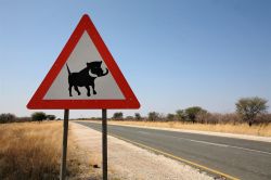 Un cartello di pericolo con raffigurato un facocero: siamo a Gobabis in Namibia