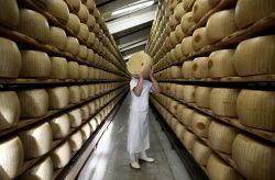 Un caseificio del consorzio Parmigiano Reggionano nel terriotrio comunale di Fidenza, Emilia-Romagna - © Alessia Pierdomenico / Shutterstock.com