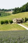 Un casolare nelle colline intorno a Pergola, regione Marche