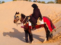 Un cavaliere arabo con i tradizionali abiti nel deserto del Sahara, Douz (Tunisia).
 
