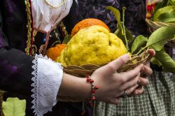 Un cedro alla sfilata in costume della Sagra degli Agrumi di Muravera in Sardegna  - © GIANFRI58 / Shutterstock.com