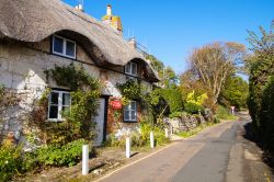 Un cottage con l'edera sulla facciata nel villaggio di Ventnor, isola di Wight, Inghilterra. In questa pittoresca costruzione si trova il museo cittadino  - © BeautifullyTravelled ...