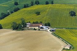 Un dettaglio delle campagne che circondano Camerino