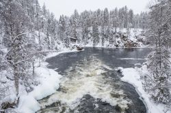 Un fiume ghiacciato in inverno nell'Oulanka National Park, Ruka, Finlandia. Istituito nel 1956 e più volte ampliato, si estende su una susperficie di 270 km quadrati.


