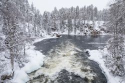 Un fiume ghiacciato in inverno nell'Oulanka National Park, Ruka, Finlandia. Istituito nel 1956 e più volte ampliato, si estende su una susperficie di 270 km quadrati.

