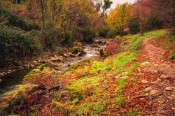 Un fiume nel Parco Regionale dei Monti Picentini nei pressi di Montella in Campania