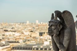 Un gargoyle di Notre Dame ammira sornione Parigi