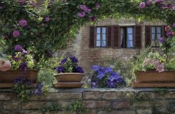 Un giardino fiorito nel villaggio medievale di Buonconvento, Toscana.
